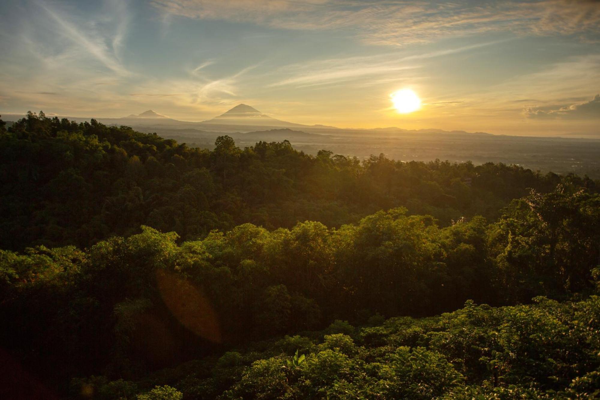 Aurora Cabins By Panoramika Jatiluwih Bagian luar foto